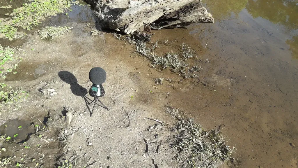 Voces de la Extinción